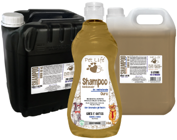 shampoo-ouro